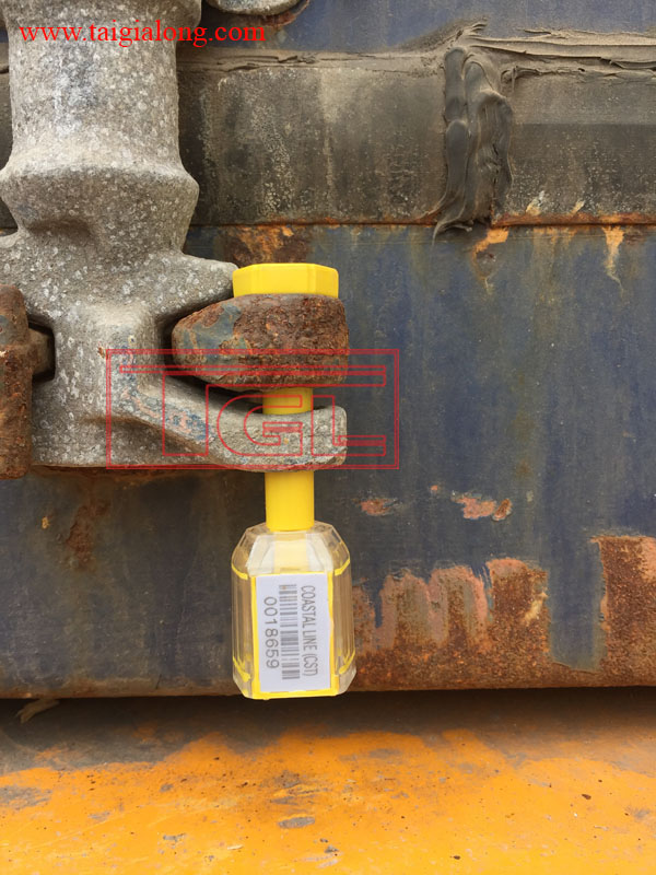 Bàn giao đơn hàng Tấm HDF Veneer đường soi nổi tại Bình Dương.