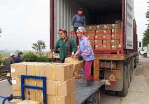 Bàn giao container chỉ nhựa PVC bản 21mm,28mm,34mm