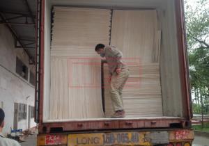Bàn giao Conatiner Tấm MGO chống cháy cho đơn vị sản xuất cửa gỗ công nghiệp